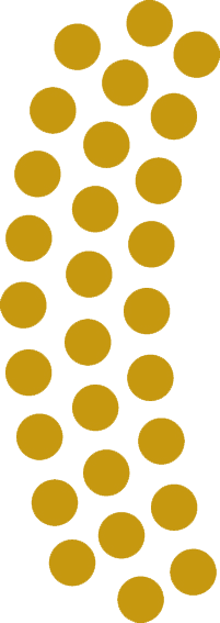 Elemento gráfico dorado de Klubb Baires